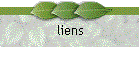 liens