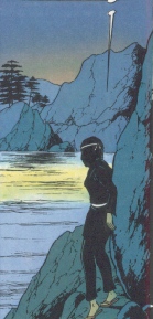 yoko ninja.JPG (27452 octets)